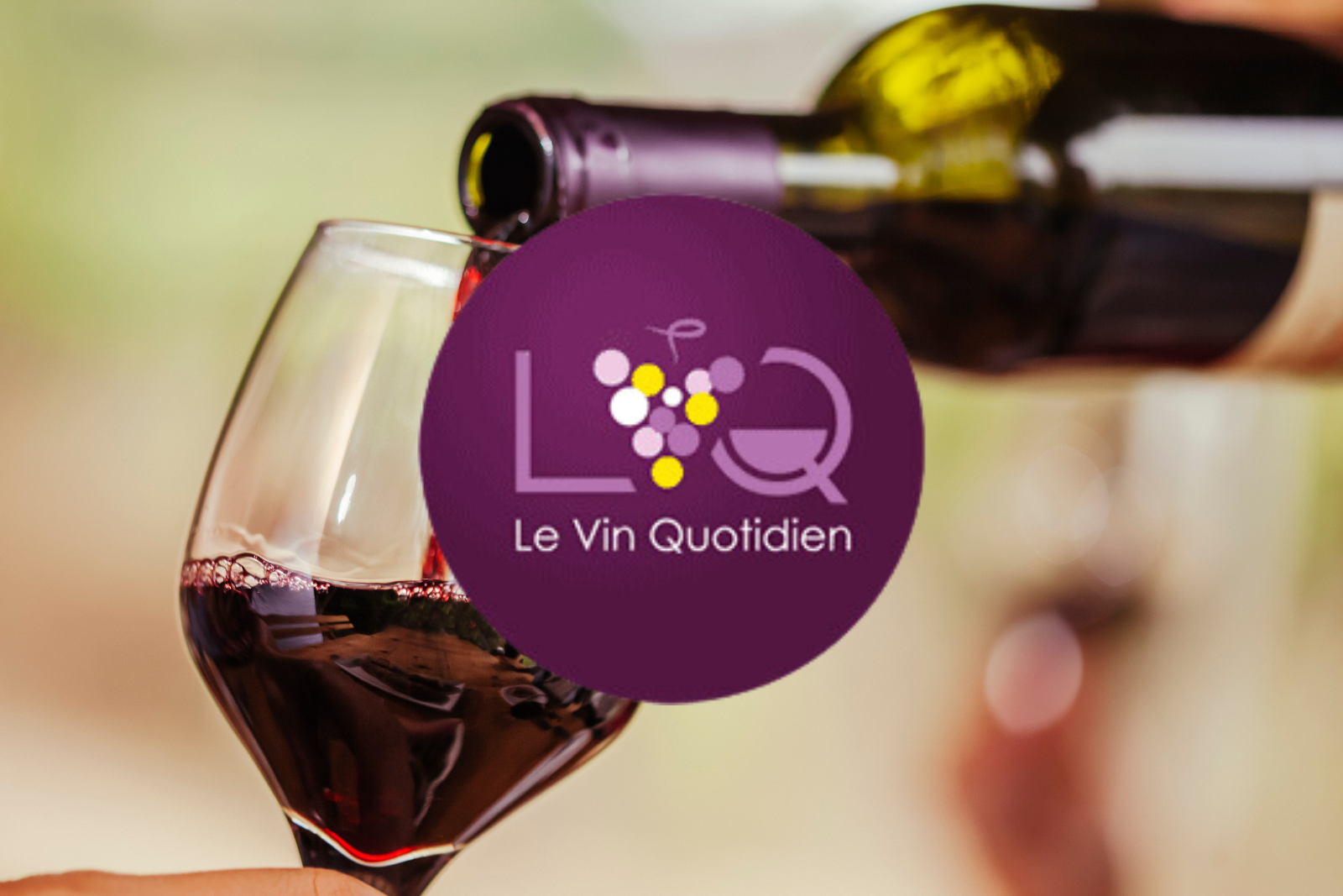 Le Vin Quotidien